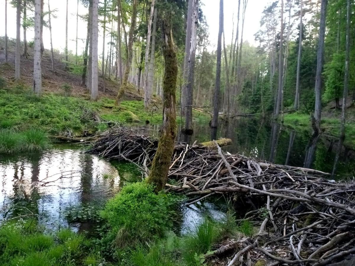 Вилла Domek Letniskowy Na Kaszubach, Borowy Mlyn, Jezioro Gwiazda Экстерьер фото